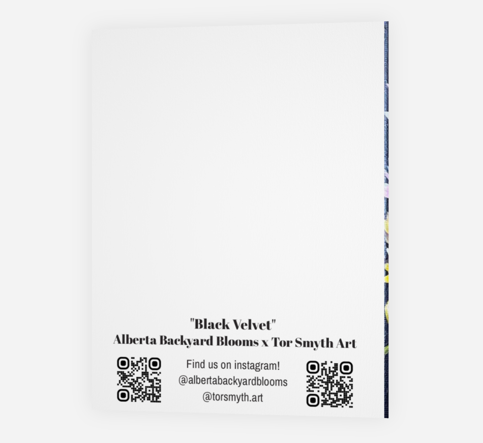 Black Velvet Art Print Card