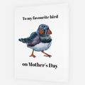 You're My Favourite Bird Card