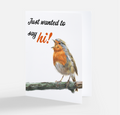 Just Wanted to Say Hi Robin Card