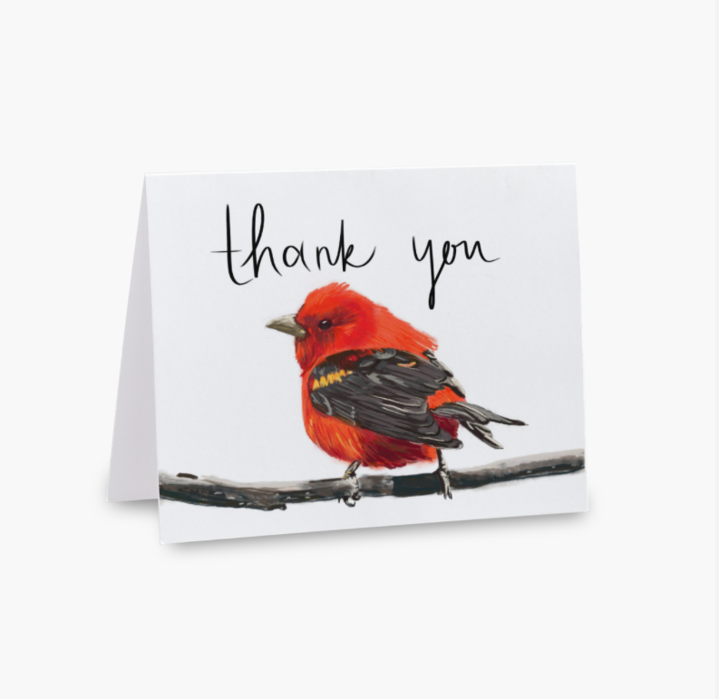 Thank You Scarlet Tanager