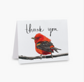 Thank You Scarlet Tanager