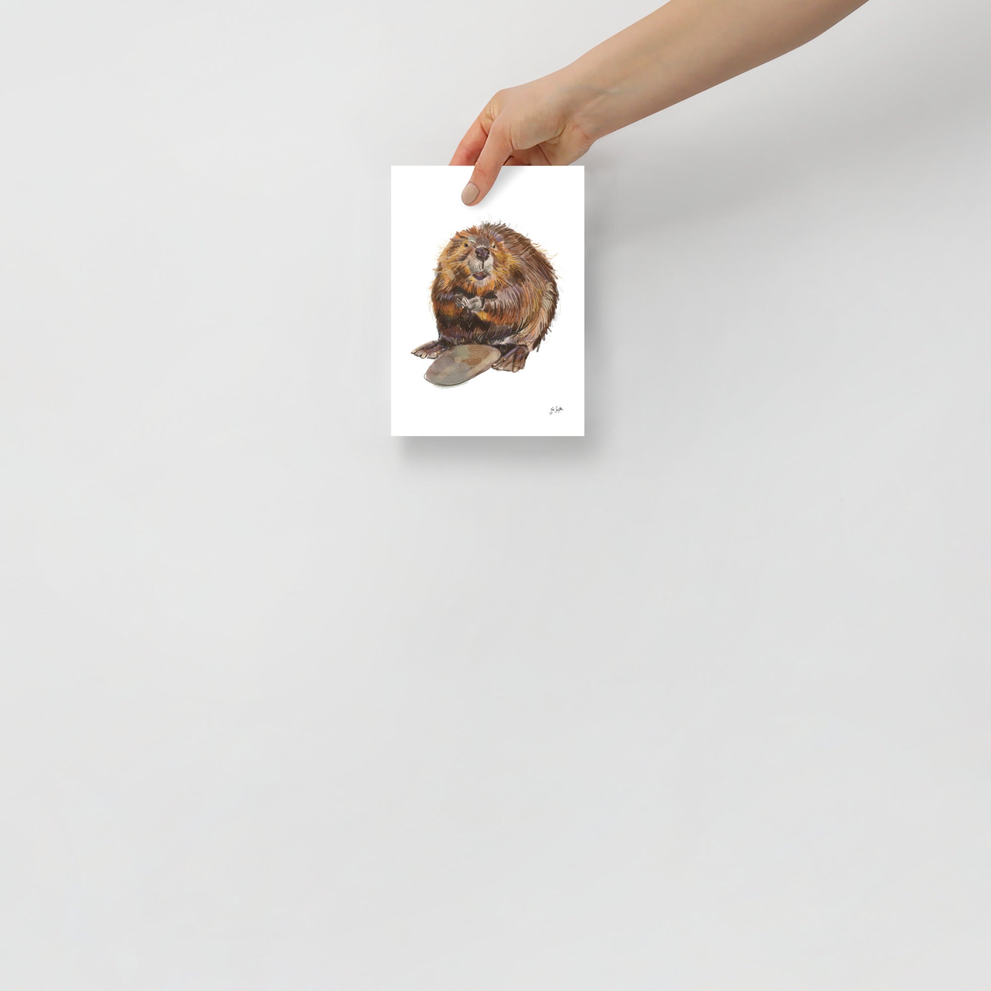 Beaver Print
