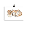 Fennec Fox Digital Art Print