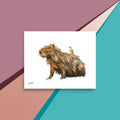 Capybara & Friend