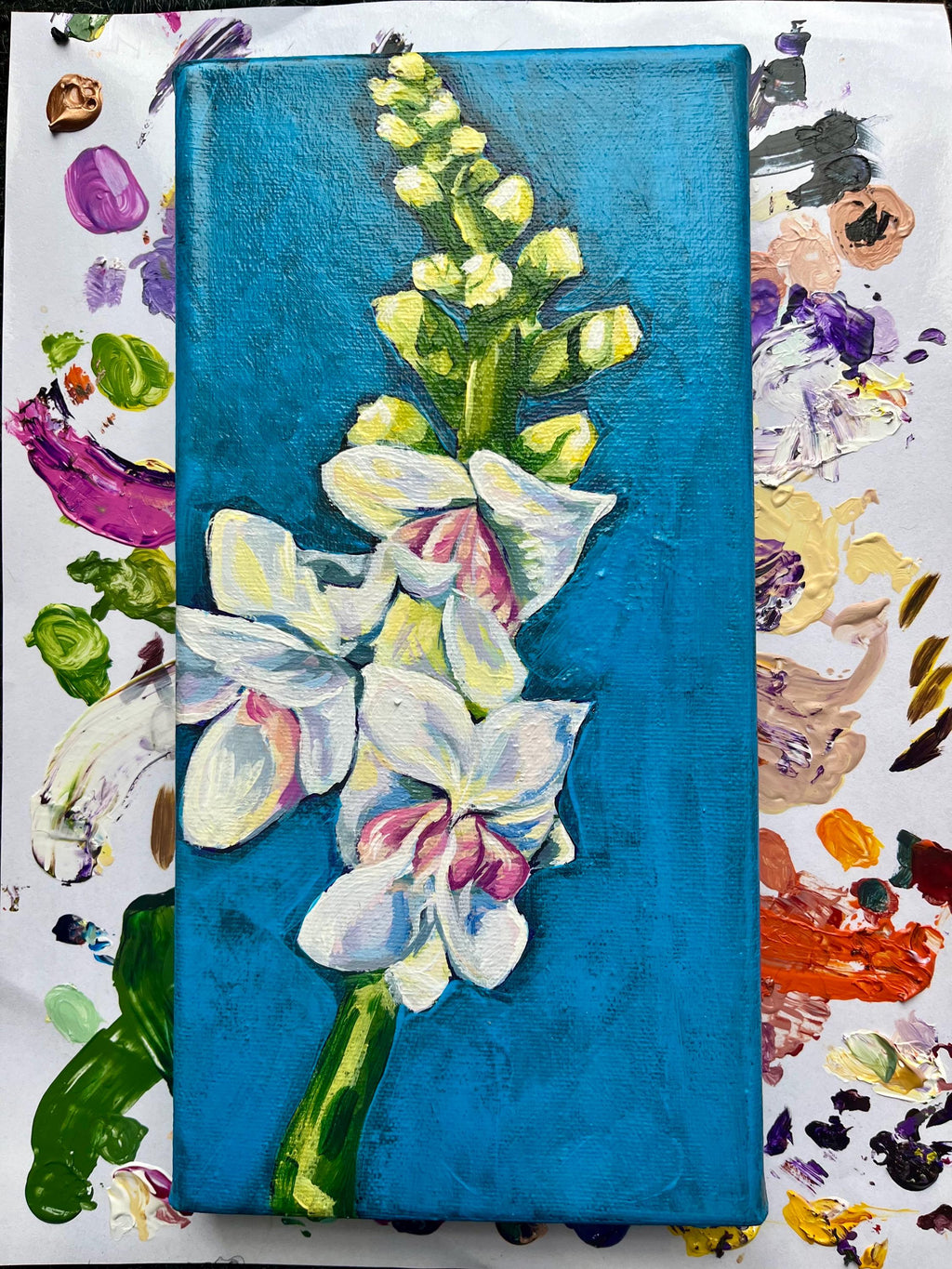 Snap Crackle Pop (currently exhibiting)